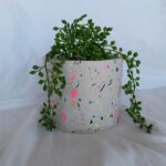 White Terrazzo Pot Planter - Jesmonite South Africa Eco Resin