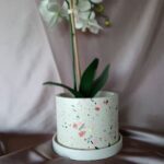 Terrazzo Planter Pot Flower Succulent - Amore Creative Collections