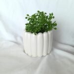 ribbed pot planter pot - jesmonite mother of pearl south africa amore creative collections
