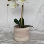 white beige marble pot plant orchid pot planter handmade south africa jesmonite eco resin