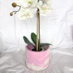 white beige marble pot plant orchid pot planter handmade south africa jesmonite eco resin