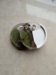 half epoxy resin half eco resin jesmonite sentimental keepsake flower botanical coaster sets south africa - www.amoresa.co.za